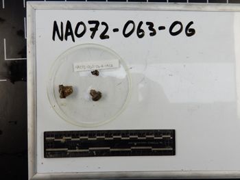 Media type: image;   Invertebrate Zoology 139285